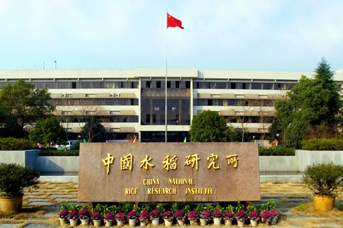 中國水稻研究所-王丹英